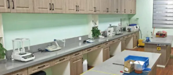 المختبر التقني