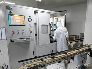 الطاقة الإنتاجية