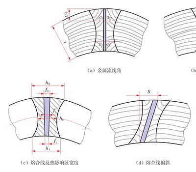 الميتالوغرافيا